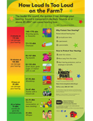 A poster that presents the decibel levels of various electronic devices, vehicles, machinery, and conversations, and discusses ways to protect your hearing. How Loud Is Too Loud? poster